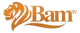 BAM-TV logo