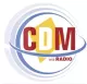 CDM Internacional logo