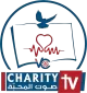 Charity TV logo