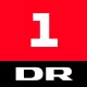DR1 logo