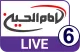 Imam Hussein TV 6 logo