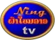 Ning TV logo