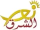 Nour Al Sharq logo