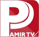 Pamir TV logo