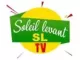Soleil Levant TV logo