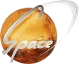 Space TV logo