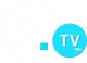 TV21 logo