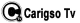 Tv Carigso logo