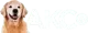 AKC TV logo