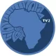 Africa TV2 logo