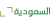 Saudi TV (Riyadh) logo