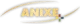 Anixe + logo