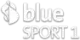 Blue Sport 1 logo