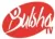 Bulsho TV logo