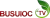 Busuioc TV logo
