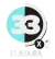 Canal 33 Tijuana logo