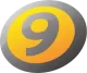 Canal 9 logo