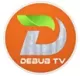 Debub TV logo