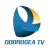 Dobrogea TV logo