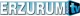 Erzurum Web TV logo