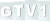 Guinee TV1 logo