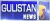 Gulistan News logo