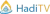 Hadi TV 1 logo