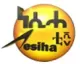 Nesiha TV logo
