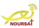 Noursat logo