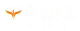 Oasis Television logo