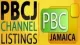 PBC Jamaica TV logo