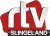RTV Slingeland logo