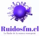 Ruidos FM logo