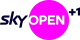 Sky Open +1 logo
