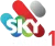 Sky Racing 1 logo