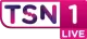 TSN1 logo