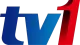 TV1 logo