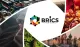 TV BRICS Africa logo