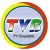 TV Boqueirao logo