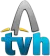 TV Higuey Digital logo