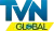 TVN Global logo
