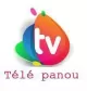 TV Panou logo