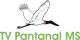 TV Pantanal MS logo