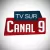 TV Sur Canal 9 logo
