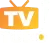 TV Tudo BH logo