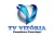 TV Vitoria logo