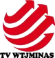 TV WTJMINAS logo
