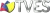 TVes logo