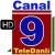TeleDanli logo