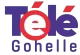 TeleGohelle logo